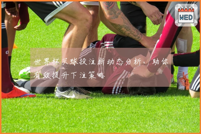 世界杯买球投注新动态分析，助你有效提升下注策略