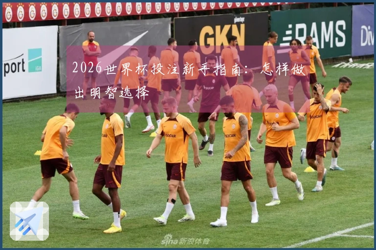 2026世界杯投注新手指南：怎样做出明智选择
