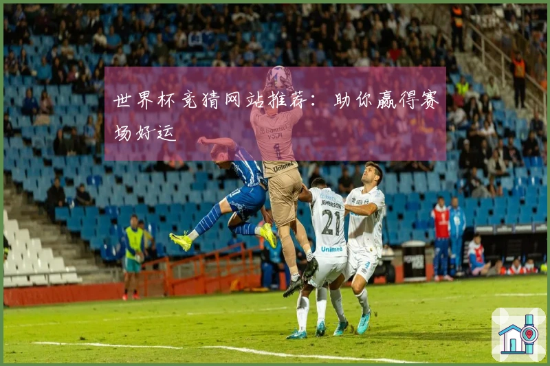 世界杯竞猜网站推荐：助你赢得赛场好运