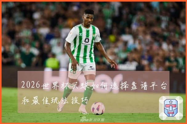 2026世界杯买球如何选择靠谱平台和最佳玩法技巧