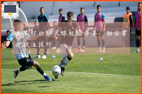 世界杯让球买球经验分享，助你掌控投注技巧